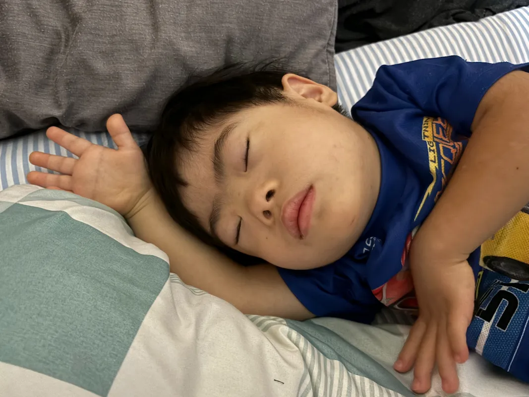 ますかけ線を見せて寝るべえ